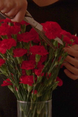 Flowers Blooming In Our Throats (2020) Flowers Blooming In Our Throats (2020)