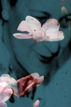Flowers of the Sky (2016) Flowers of the Sky (2016)