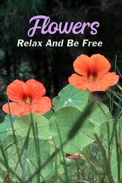 Flowers: Relax and Be Free (2014) Flowers: Relax and Be Free (2014)