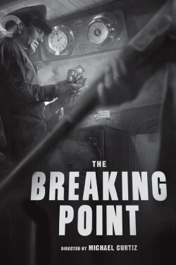 Fluid Style: Michael Curtiz and The Breaking Point (2017)