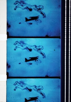 Fluke (1985)