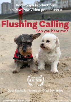 Flushing Calling, Can you hear me? (2024) Flushing Calling, Can you hear me? (2024)