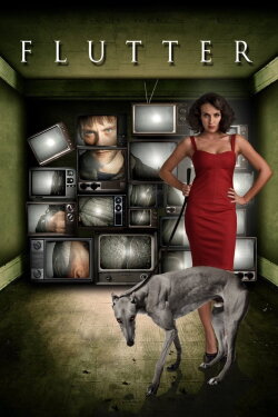Flutter (2011) Flutter (2011)