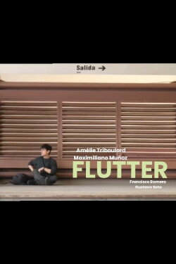 Flutter (2024) Flutter (2024)