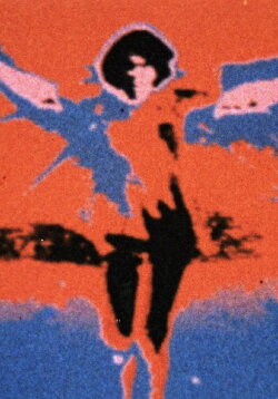 Fly (1974)