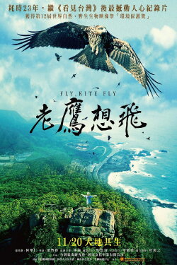 Fly, Kite Fly (2015)