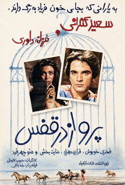 Flying in a Cage (1980)