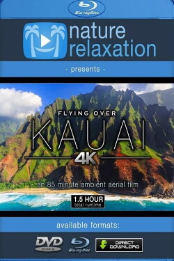 Flying Over Kauai (2018)