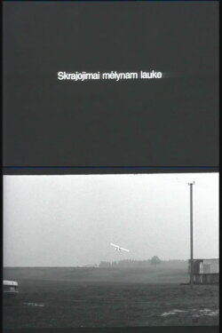 Flying Over the Blue Fields (1996) Flying Over the Blue Fields (1996)