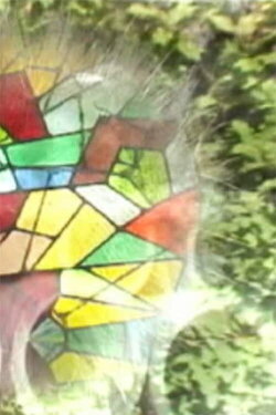 Foci Coincide (2004)