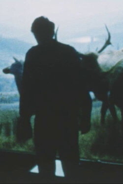 Fog Pumas (1967) Fog Pumas (1967)