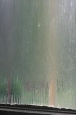 Fogged Windows (2013) Fogged Windows (2013)