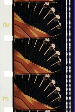 Foire du trône (1982)
