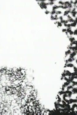 Following the Line of the Web (2004)