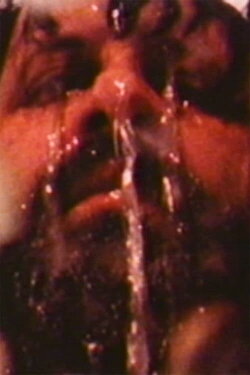 Fontana (1988) Fontana (1988)