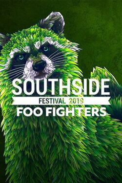 Foo Fighters: Southside Festival 2019 (2019) Foo Fighters: Southside Festival 2019 (2019)