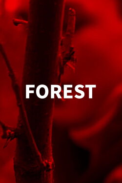 Forest (2022) Forest (2022)