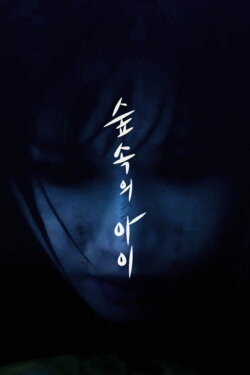 Forest (2017) Forest (2017)