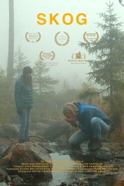 Forest (2020)