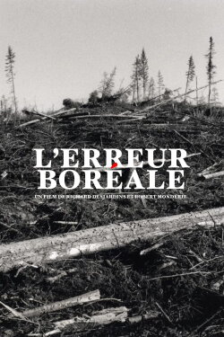 Forest Alert (1999)