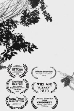 Forest (2019)
