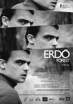 Forest (2011) Forest (2011)