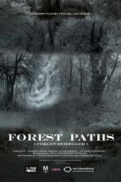 Forest Paths (forget Heidegger) (2017) Forest Paths (forget Heidegger) (2017)