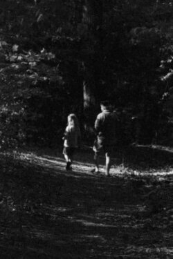 Forest Walk (2011) Forest Walk (2011)