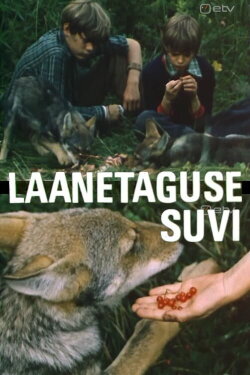 Forestback Summer (1979)