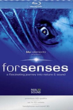 Forsenses:Blu Elements (2009) Forsenses:Blu Elements (2009)