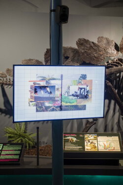 fossil:images (2023) fossil:images (2023)