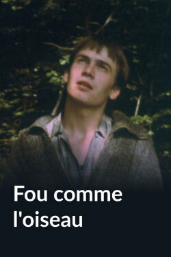 Fou comme l'oiseau (1983) Fou comme l'oiseau (1983)