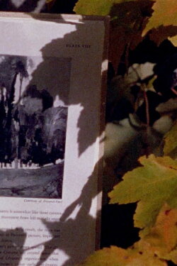 Four Shadows (1978) Four Shadows (1978)