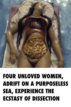 Four Unloved Women, Adrift on a Purposeless Sea, Experience the Ecstasy of Dissection (2023)