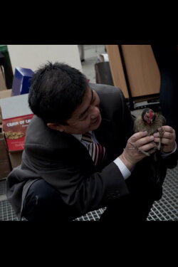 Fowl Play (2013)