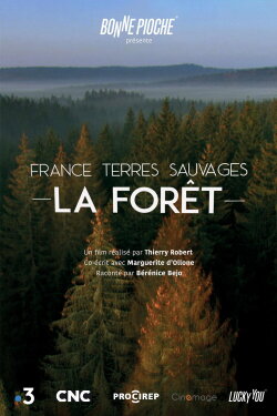 France terres sauvages : La Forêt (2019) France terres sauvages : La Forêt (2019)