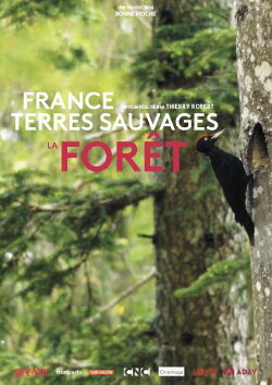 France terres sauvages : La Forêt (2019) France terres sauvages : La Forêt (2019)