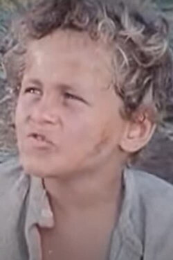 François le Champi (1976)