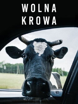 Free Cow (2023) Free Cow (2023)