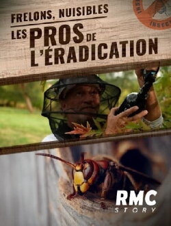 Frelons, nuisibles : Les pros de l'éradication (2024)