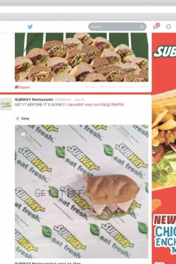 Freshbuzz (subway.com) (2014)