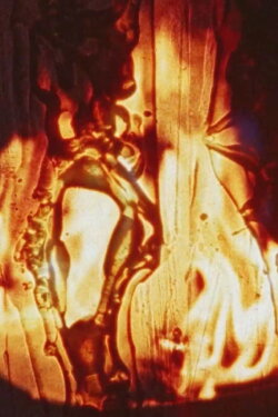 Friendly Fire (2003)