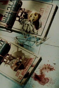 Frog Skeleton (1991)