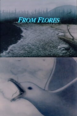 From Flores (1991)