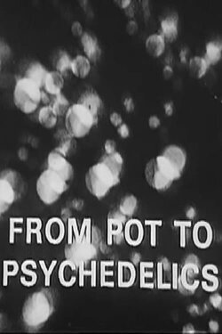 From Pot To Psychedelics (1968) From Pot To Psychedelics (1968)