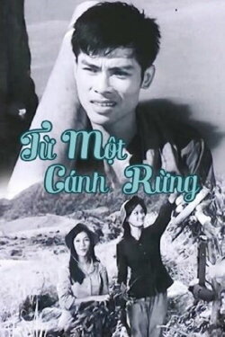 From The Same Forests (1978)
