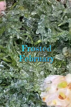 Frosted February (2021)