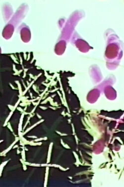 Frottage/Dommage/Fromage 2 Vous (2008)