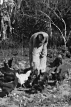 Fuentes Family Ranch (1938) Fuentes Family Ranch (1938)