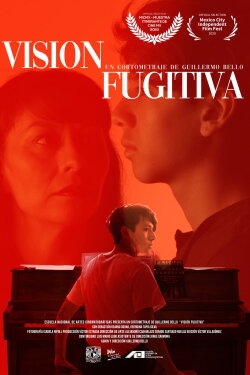 Fugitive Vision (2020)